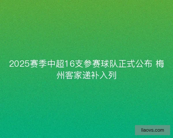 2025赛季中超16支参赛球队正式公布 梅州客家递补入列